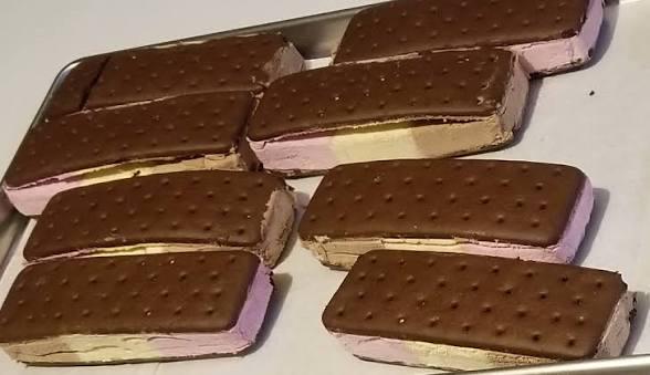 Freeze Dried Ice Cream Sandwich Bites – Crunchy Astronaut Food, No-Melt Treats