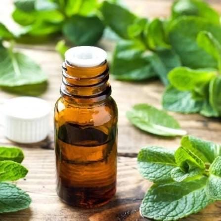 Artisan Baking Extracts | Vanilla, Cinnamon, Almond, Peppermint & More