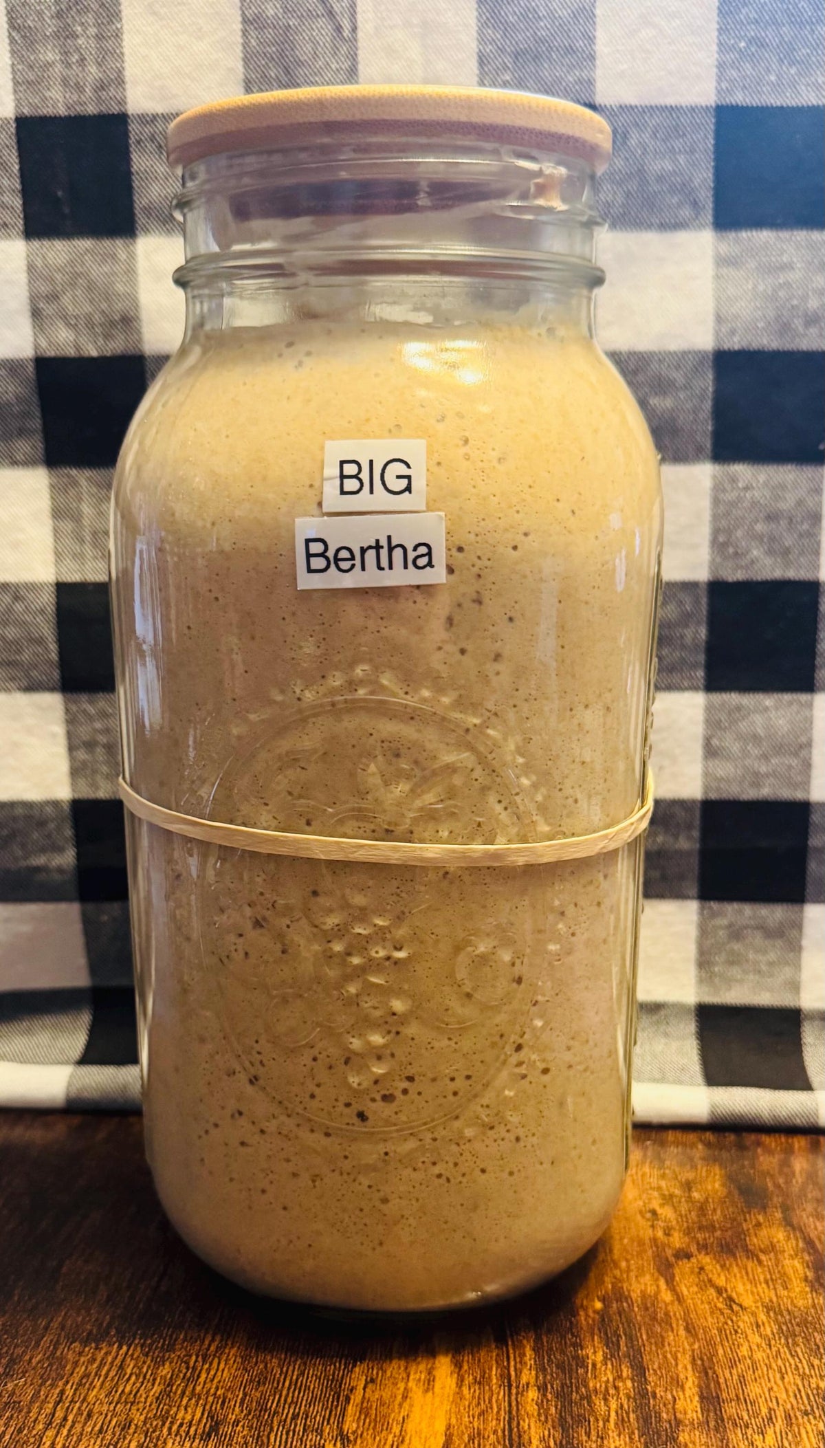 Live or Freeze-Dried Starter....Making Bread for Life!