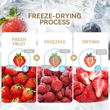 Rent time in our Freeze Dryer..........Save yourself the Hassle!!!!