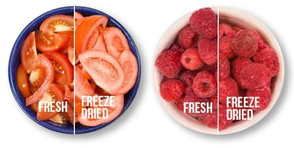 Rent time in our Freeze Dryer..........Save yourself the Hassle!!!!
