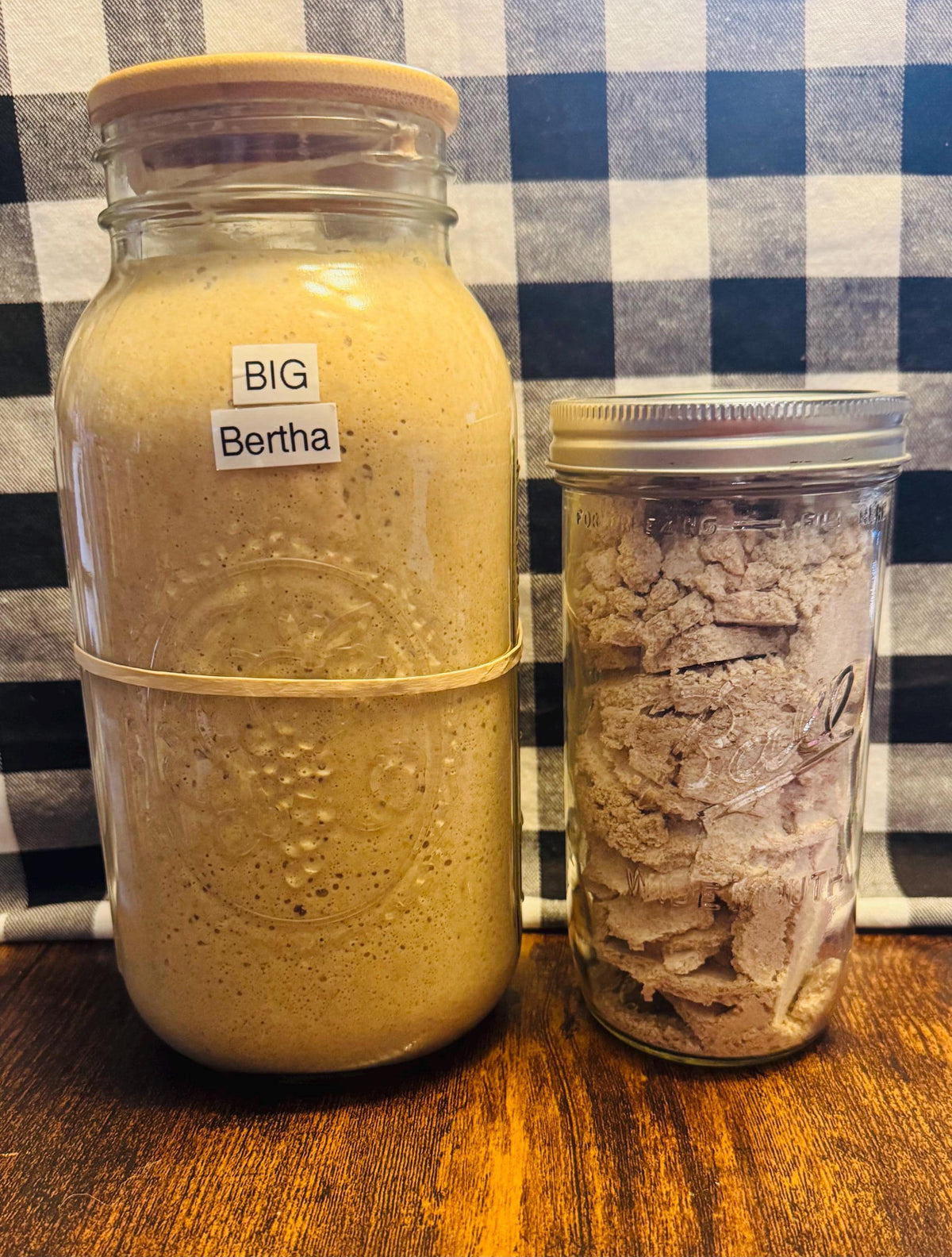 Live or Freeze-Dried Starter....Making Bread for Life!