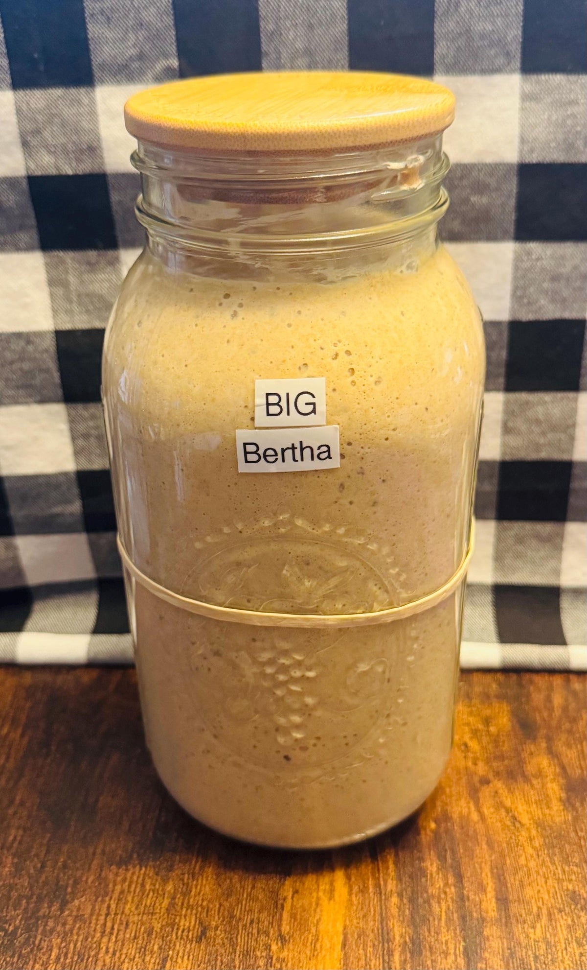 Live or Freeze-Dried Starter....Making Bread for Life!