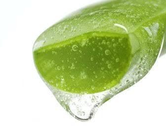Organic Aloe Vera Gel, Cold-Processed, 100% Pure Plant-Based